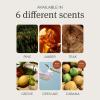 imageDrift Car Air Freshener  Stone Air Freshener  Car Odor Eliminator  Cabana Scent Starter KitAmber3 Pack Starter Kit