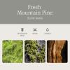 imageDrift Car Air Freshener  Stone Air Freshener  Car Odor Eliminator  Cabana Scent Starter KitPine3 Pack Refill