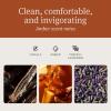 imageDrift Car Air Freshener  Wood Air Freshener  Car Odor Eliminator  Teak Scent Starter KitAmberStarter Kit