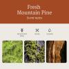 imageDrift Car Air Freshener  Wood Air Freshener  Car Odor Eliminator  Teak Scent Starter KitPine3 Pack Refill