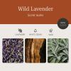 imageDrift Teak Scented Candle  Home Decor  Fragrance Oil Candle  60 Day Burn Time  105 ozWild Lavender