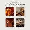 imageDrift Teak Scented Room Spray  Air Freshener  Clean Fragrance Oils  Premium Scent  Room Air Freshener  Air Fresheners For Home  20 ozTeak